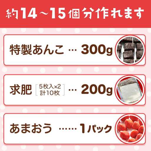 あまおう大福手作りキット（1パック）いちご  苺 【2026年1月～4月に順次出荷予定】　BD14