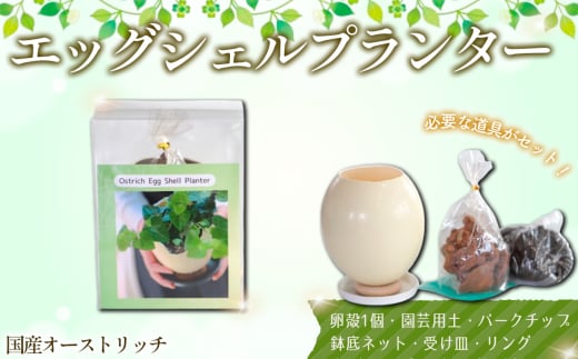 国産オーストリッチエッグシェルプランター ／ ダチョウ だちょう 卵 殻 貴重 園芸 植物 ガーデン 植栽 花 用土 バークチップ 鉢底ネット 受け皿 リング 趣味 可愛い おしゃれ 埼玉県 [No.231] 