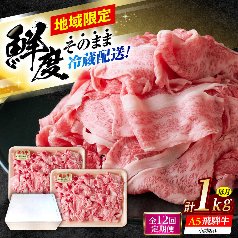 【ふるさと納税】【12回定期便】 ※冷蔵配送/地域限定※ 飛騨牛 小間切 (大) 500g×2セット 瑞浪市 / きなぁた瑞浪 和牛 国産 岐阜県産[AZCI073]