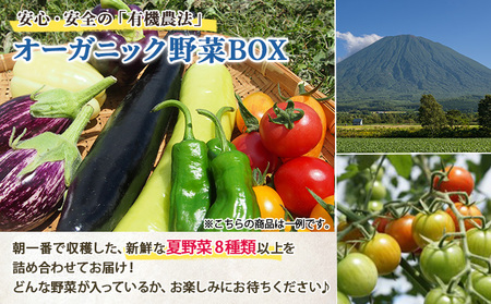【2026年発送】北海道産 有機 野菜BOX 8種類 詰め合わせ セット 採れたて 夏野菜 オーガニック 旬 新鮮 詰め合わせ お取り寄せ 産地直送 産直 野菜 農作物 ギフト 野菜セット 
