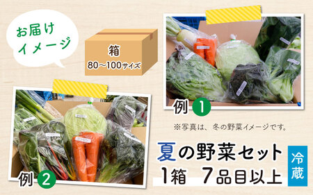 【先行予約】農家直送 夏野菜セット 1箱 7品目以上 《元気に育った新鮮野菜！》／ 季節 夏 野菜 ボックス BOX セット セレクト 農家 おまかせ 多品目 旬 詰め合わせ ※2024年7月中旬以降