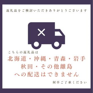[先行予約]期間・数量限定 丹波栗の詰め合わせ 特選銀寄＜京都・八光館＞≪生活応援 訳あり≫ ※2026年10月～発送