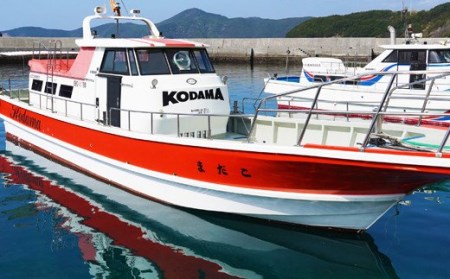 渡船 乗船券 [こだま渡船] 愛南町 磯 渡し 釣り場 人気 釣り 釣り ポイント釣り 西海 スポーツ 南部 沖磯 ヤッカン アブセ 本バエ 大物 ハマチ グレ メジナ 石鯛