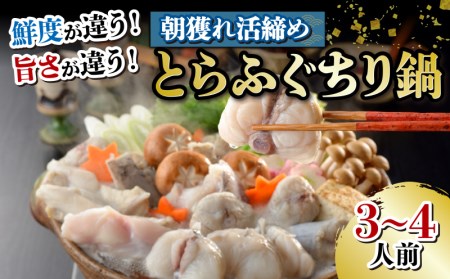【※備考欄に配送指定日必須】朝獲れ 活締め とらふぐ ちり鍋 fg016