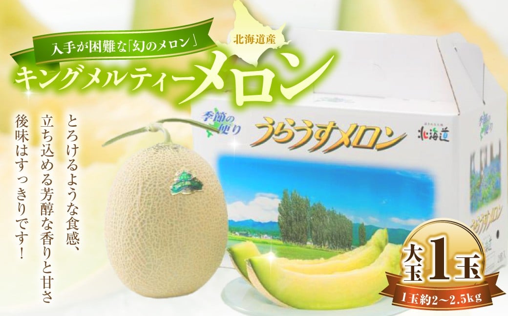 
            キングメルティー メロン 大玉 1玉 約2kg～2.5kg  くだもの 果物 果実 フルーツ 舐瓜 北海道 浦臼町【2026年7月上旬－2026年7月下旬迄順次発送予定】
          