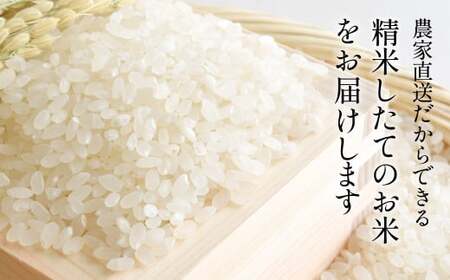 【お米定期便】令和7年 特Aランク特別栽培米 コシヒカリ 精米 10kg（全12回）特A お米 定期便 丹波たぶち農場