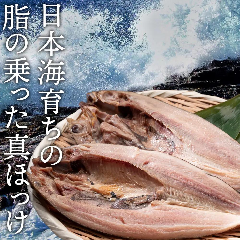 開きほっけ10枚セット＜大川商店＞