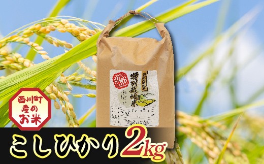 令和7年度 山形県西川町産 こしひかり 2kg 精米 白米 ブランド米 米 ご飯 ごはん 自宅用 家庭用 FYN6-554