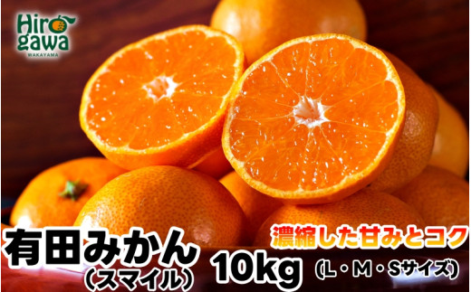 
                  有田みかん 10kg 秀品【sml004-r-10A】
                