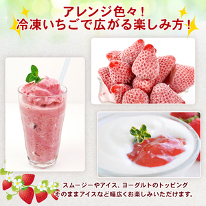 冷凍 いちご 2kg  完熟 きらぴ香  萩埜園 牧之原市 静岡 