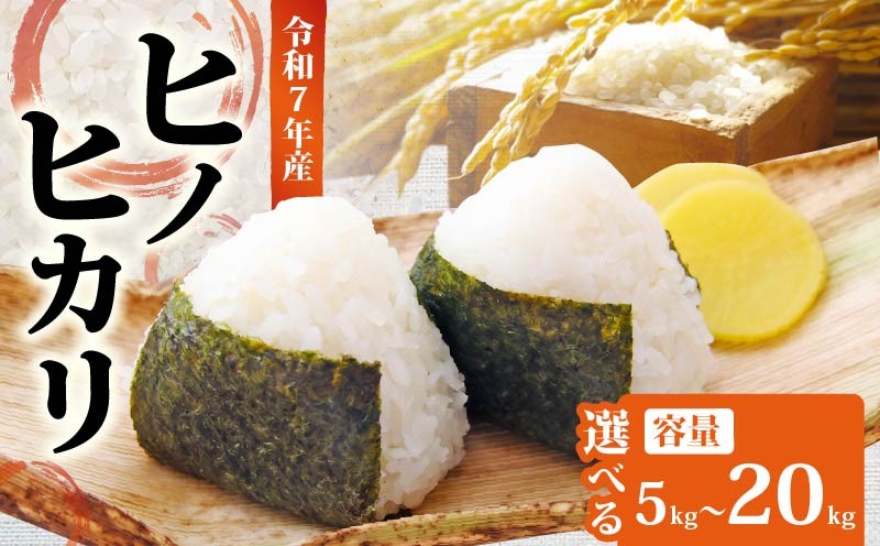 
                  令和7年産 お米 ヒノヒカリ 選べる 5～30kg 白米 玄米 数量限定 単発 定期便 選べる 回数 新米 先行予約 お米 おこめ コメ こめ kome 精米 国産 ひのひかり こめ ライス ご飯 ごはん お弁当 おにぎり おむすび 白ご飯  農家直送 産地直送 精米 送料無料 ゆうちゃんファーム 奈良県 奈良市
                