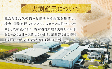 【ふるなびWEEK対象】【先行予約】《令和7年産》くまさんの輝き 5kg×2袋 合計10kg  熊本県 八代市産 米 お米 精米 白米 国産 【2025年11月下旬より順次発送】