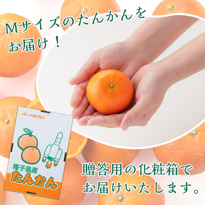 n204 【期間限定】＜先行予約受付中！2026年2月中旬～3月上旬の間に順次発送予定＞鹿児島県種子島産 たんかんMサイズ(5kg・約40個入り)【種子屋久農業協同組合】