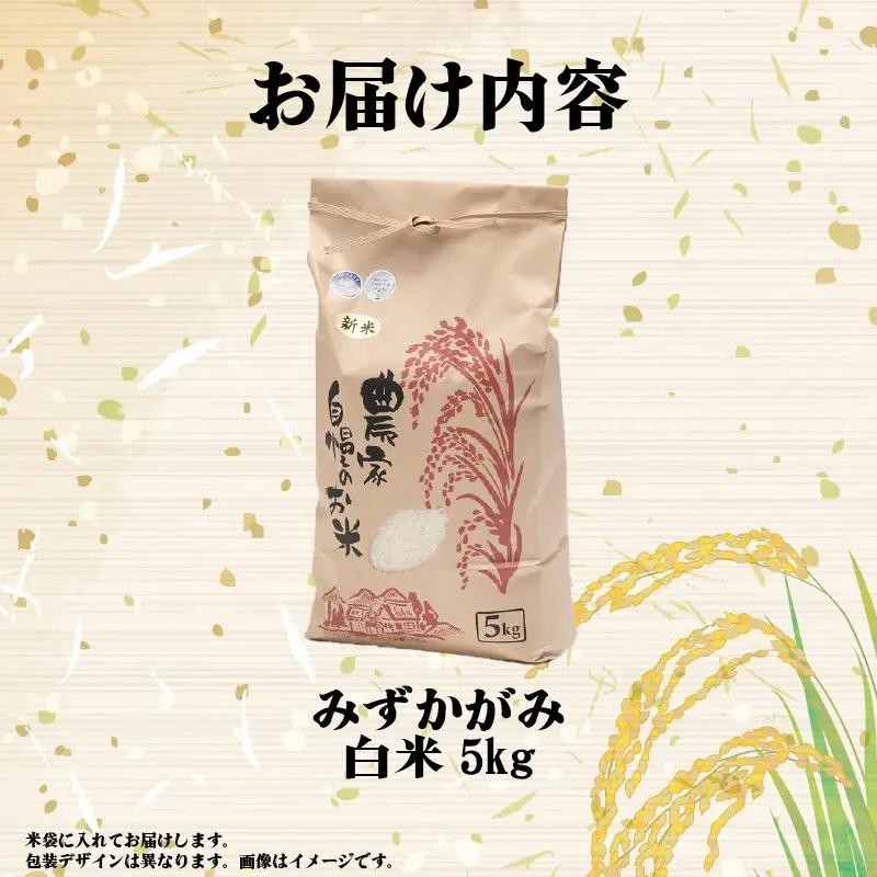 【先行予約】令和8年産 新米 みずかがみ 5kg 白米  米 【KW008】 近江米 精米