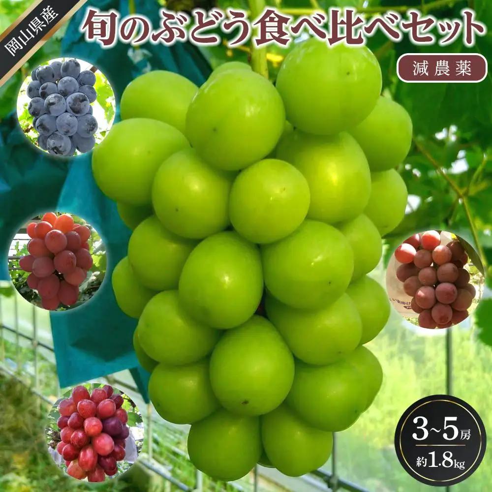ぶどう 2026年  旬の ぶどう 食べ比べセット 約1.8kg 3～5房 減農薬 ハウス栽培 葡萄  岡山県産 国産 フルーツ 果物 ギフト ばんの農園　シャインマスカット ニュー ピオーネ サニードルチェ クイーンニーナ ロザリオビアンコ カッタクルガン ウインク