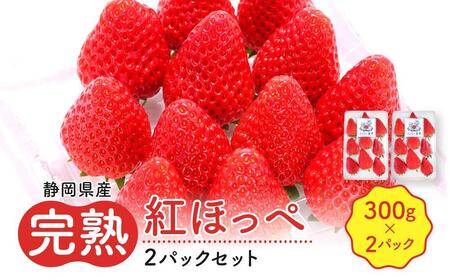 【静岡県産いちご】完熟紅ほっぺ2パックセット（300g×2パック）【2026年1月下旬～発送予定】