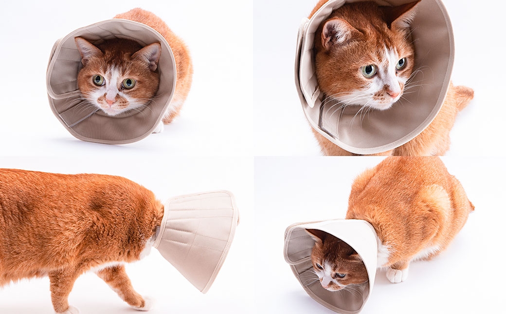 ぽぽねこ 軽くて柔らかい猫用エリザベスカラー