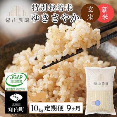 ふるさと納税 知内町 【令和8年産新米先行受付】【9カ月定期便】特別栽培米産地直送 玄米ゆきさやか 10kg 帰山農園