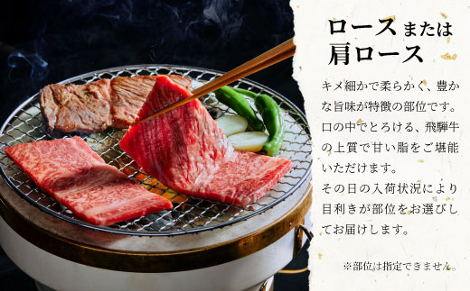 飛騨牛 ロースまたはカタロース 焼肉用 600g 肉 牛肉 和牛 焼肉 BBQ カタロース 東白川村 岐阜 贅沢 霜降り