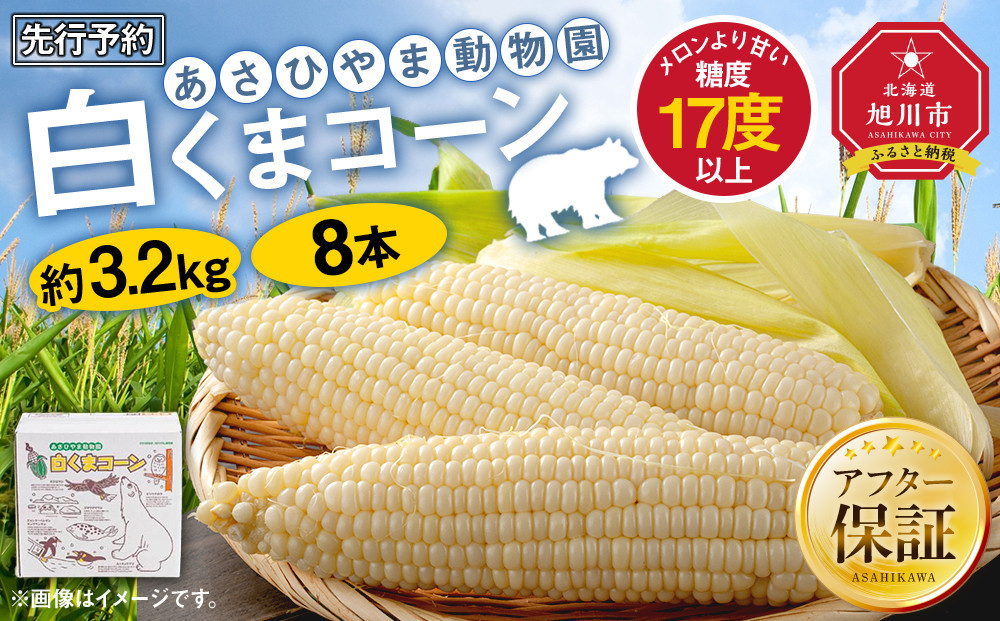 【先行予約】　あさひやま動物園しろくまコーン　約3.2kg(ホワイトレディもしくはピュアホワイト8本)_03811