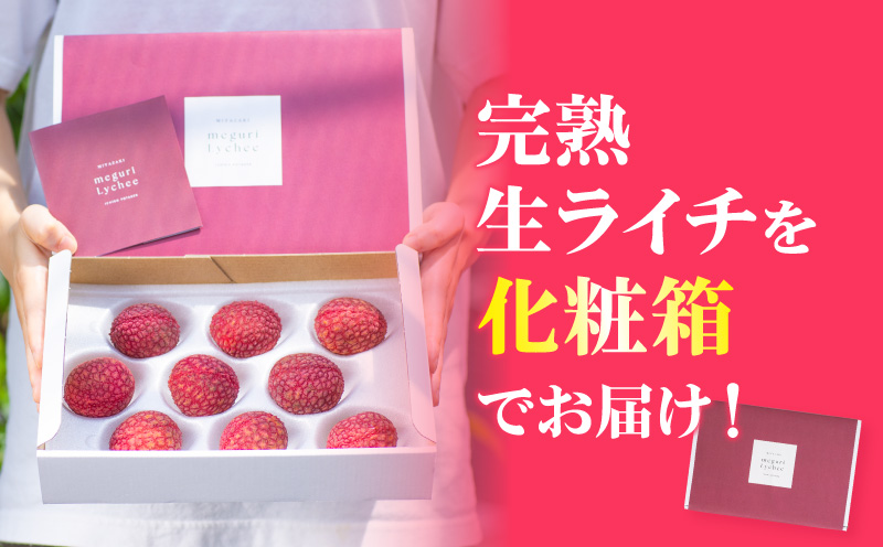《2026年発送 先行予約》【数量・期間限定】宮崎市産生ライチ 9玉(1玉40g以上) フルーツ 果物 ライチ_M215-003-01