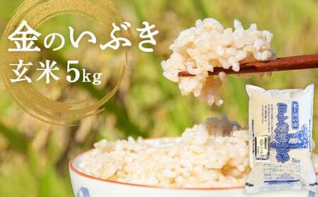 令和7年産 金のいぶき（玄米）5kg 防災減災