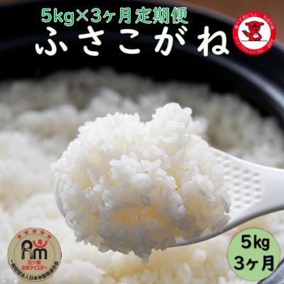 ふるさと納税 銚子市 【毎月定期便】千葉県産ふさこがね 5kg全3回