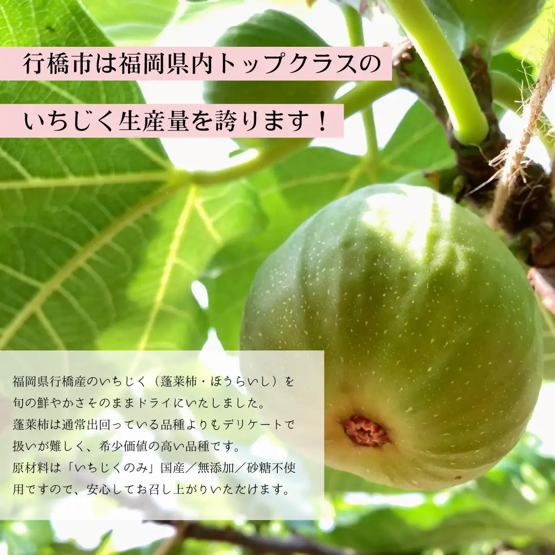 DD-016_福岡県行橋産蓬莱柿使用　ドライいちじく（DRYFIG）　20g×2個セット