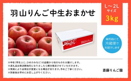 《2025年10月以降順次発送》羽山のりんご　中生おまかせL〜2Lサイズ3kg りんご リンゴ 果物 フルーツ 羽山りんご 3kg 早生ふじ ふじ 人気 くだもの おすすめ お中元 お歳暮 ギフト 二