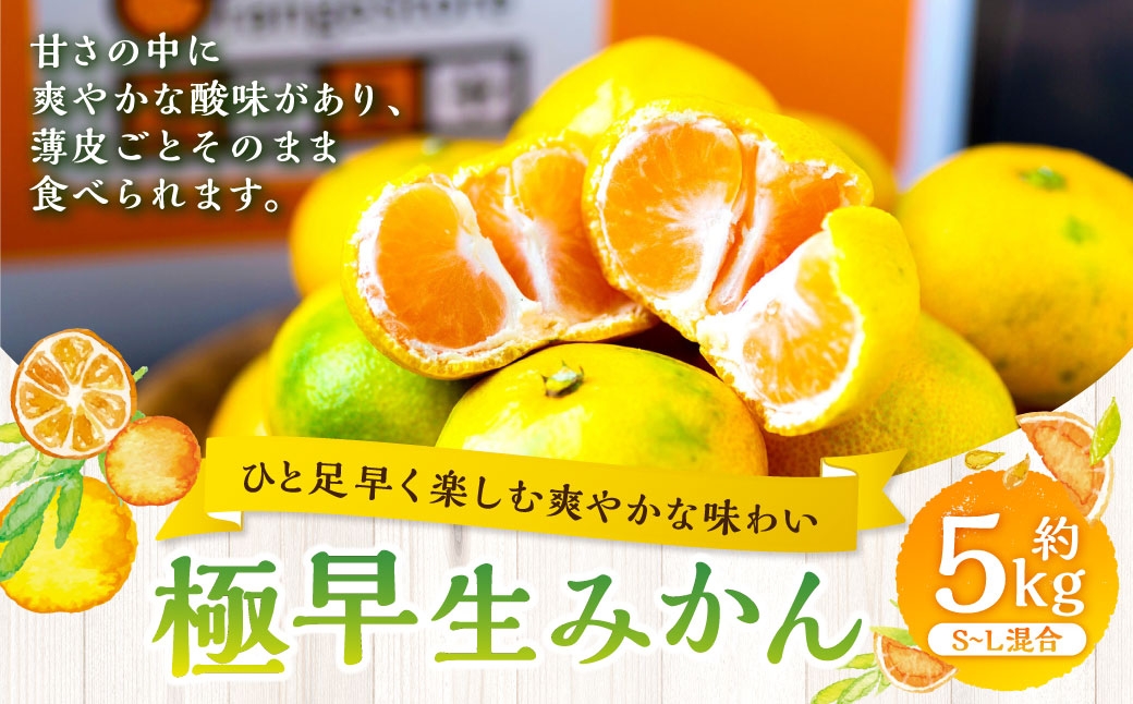 
                  【 ひと足早く楽しむ爽やかな味わい 】 極早生みかん 約5kg みかん ミカン 柑橘 柑橘系 柑橘類 くだもの 果物 フルーツ 果実 果汁 果肉 国産 愛媛県産 薄皮 【 2026年9月下旬-11月上旬発送予定 】 ( 1095 )
                