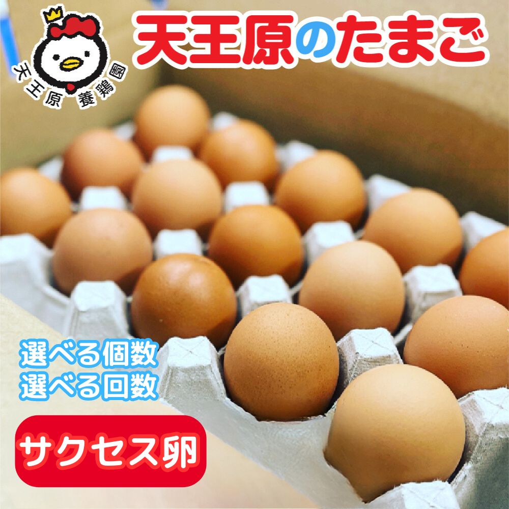 【ふるさと納税】天王原のたまご サクセス卵 選べる個数 「30個 /50個/160個」選べる回数 「 3回/6回/12回」たまご 卵 玉子 タマゴ 濃厚 食べ比べ ハリ 弾力 ボリューム 甘味 旨味 卵黄 卵かけご飯 卵焼き 目玉焼き オムレツ 茶碗蒸し お菓子作り パンの材料