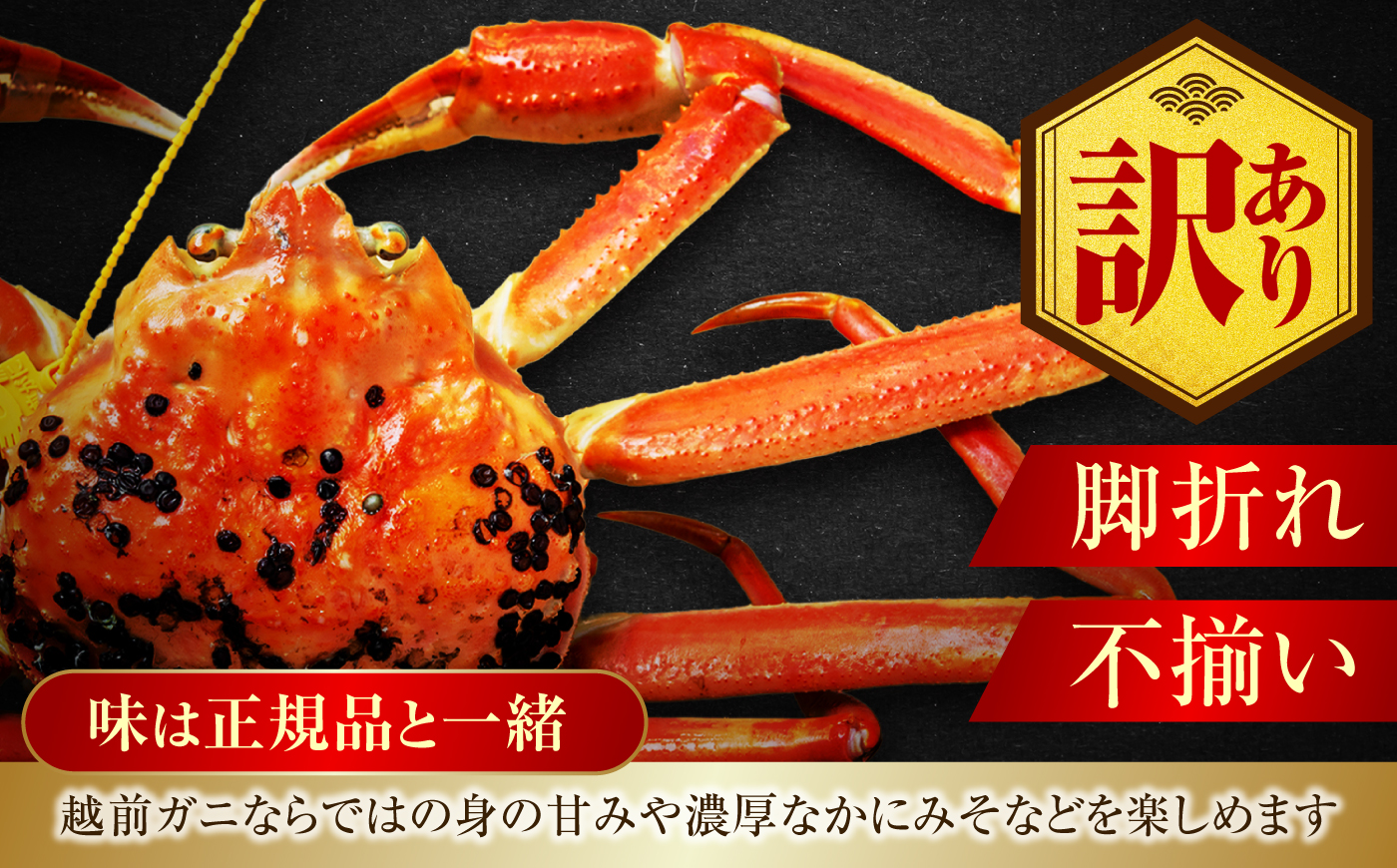 【先行予約/11月18日より順次配送】【訳あり】越前がに 700g×2杯 茹で 福井県産ズワイガニ 脚折れ・欠け / かに カニ 蟹 越前ガニ ズワイガニ ボイル / 小浜市 / 一進わかさ【配送不可