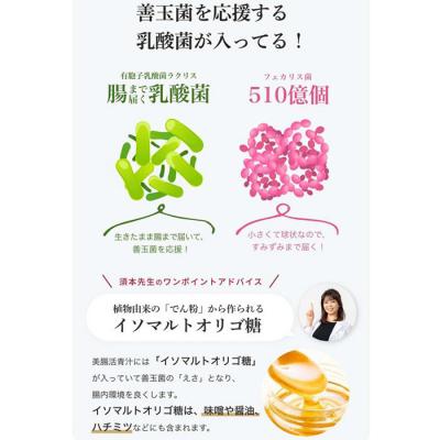 ふるさと納税 曽於市 美腸活青汁　30包入 |  | 03