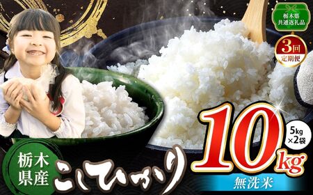 【定期便3回】お米 こしひかり 無洗米 10kg