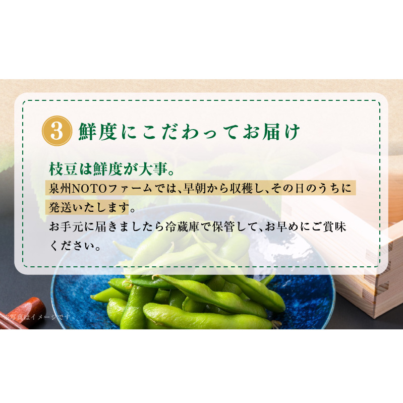【先行予約】畑から直送・朝採り黒枝豆3.6kg  G1108_イメージ4