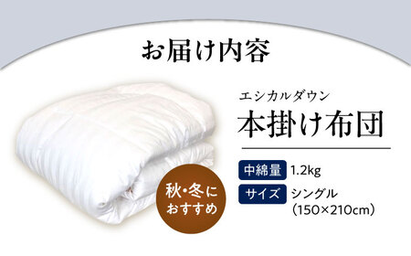 洗える ホコリが出にくい 羽毛布団『掛け布団』〈シングル〉