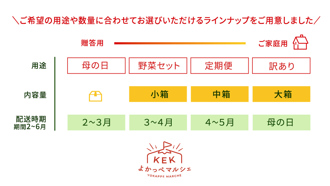 《 2027年 収穫分 》2～3月配送 スーパーフルーツトマト てるて姫 中箱 約1.2kg × 1箱 【12～15玉/1箱】 糖度9度以上 先行予約 フルーツトマト ブランドトマト 野菜 ギフト 贈