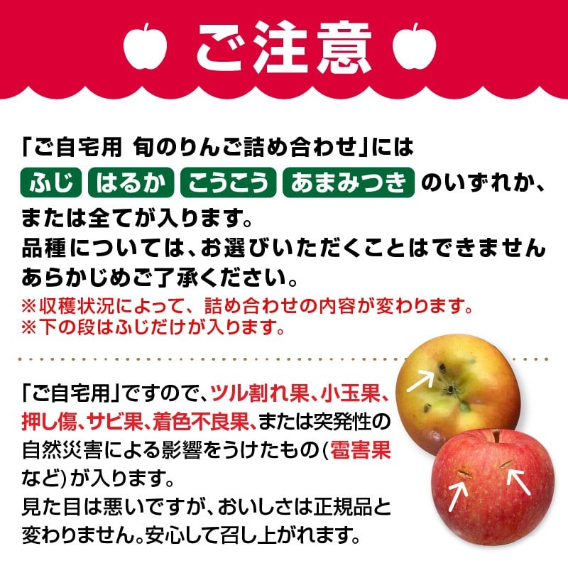 《先行受付》訳あり 旬のりんご詰合せ約10kg（サンふじ確約3種以上）【2026年12月上旬頃～発送予定】