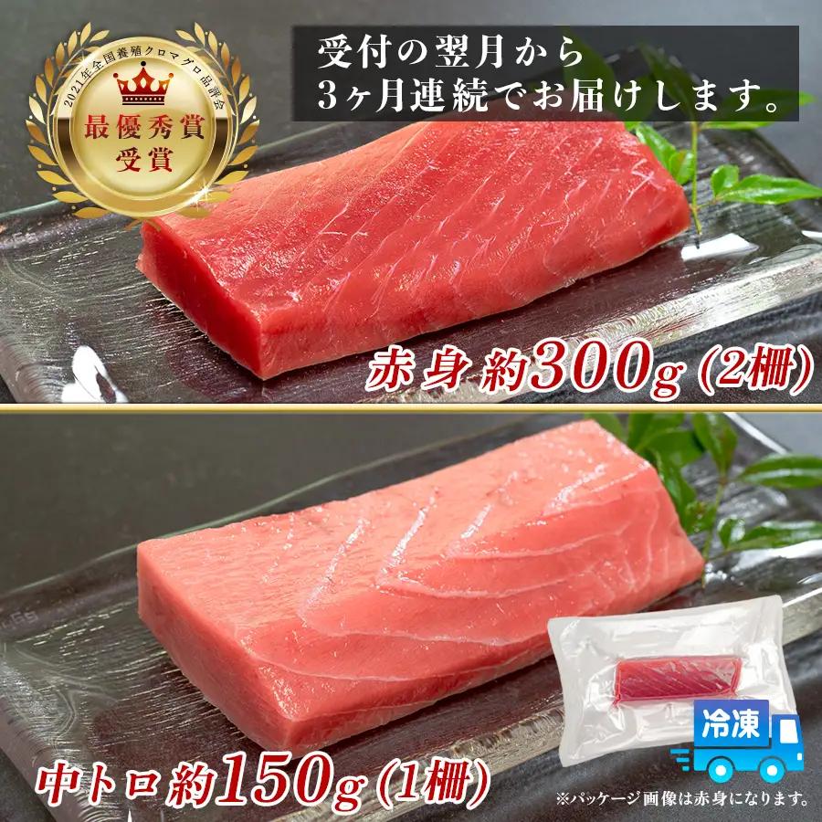 訳あり まぐろ マグロ 本鮪 黒潮本まぐろ 赤身 中トロ 定期便 3回 計450g × 3回 刺身