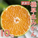 【 ふるさと納税 】 先行予約 訳あり 極早生 温州みかん 10kg 12000円 愛媛 みかん こたつ みかん 家庭用 産地直送 国産 農家直送 期間限定 数量限定 特産品 ゼリー ジュース アイス 人気 限定 甘い フルーツ 果物 柑橘 蜜柑 規格外 愛南町 愛媛県 ミッチーのおみかん畑