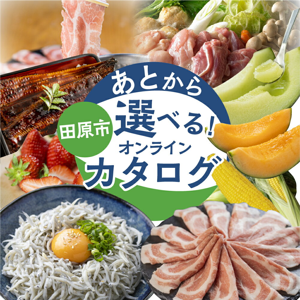 【ふるさと納税】＼50品から選べる／ 農業王国 愛知県田原市　あとから選べる！オンラインカタログ 地鶏 名古屋コーチン 牛肉 肉 国産牛 田原ポーク 豚肉 いちご メロン 選べる しらす うなぎ カタログ 定期便 特産品 グルメ 田原市
