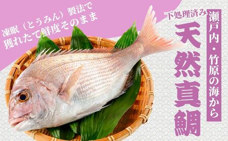 瀬戸内 天然真鯛 丸ごと姿(うろこ・内臓除去済) 2～3匹入り 合計1kg｜たい タイ 鯛 真鯛 急速冷凍 下処理済み 刺身 焼き魚 塩焼き カルパッチョ【お正月 おせち お食い初め 百日祝い 祝い事