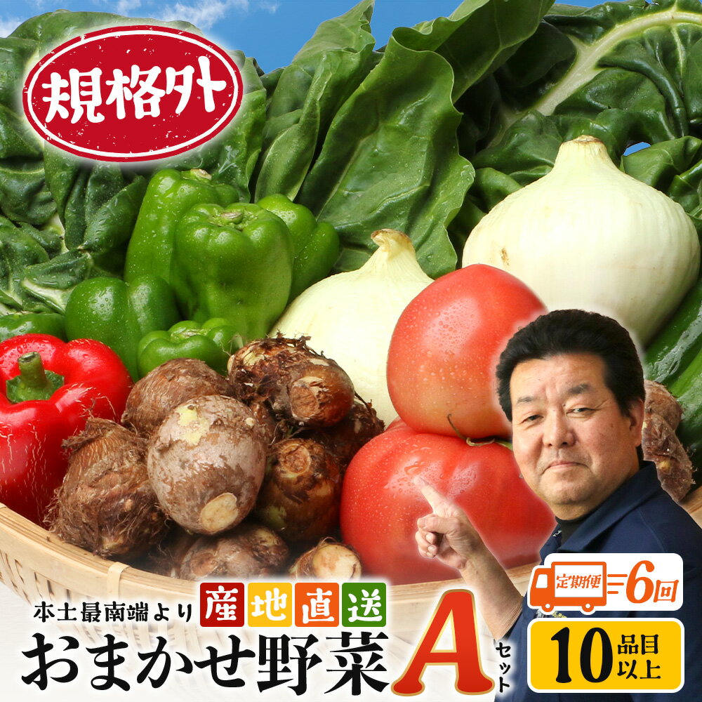 【ふるさと納税】【定期便全6回】【規格外】本土最南端から 旬のおまかせ野菜セットA 10品目以上 NI-5 ｜ 旬 野菜 やさい 果物 くだもの 産地直送 農産物 冷蔵 鹿児島県 南大隅町産 詰合せ おまかせ 家庭用 訳あり なんたん市場