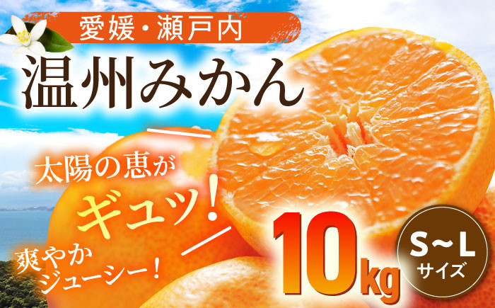 
            【先行予約】【11月中旬より順次発送】 温州みかん 10kg（S~Lサイズ） 果物 フルーツ みかん 10㎏ ミカン 温州みかん みかんジュース 愛媛 みかん 愛媛県大洲市/沢井青果有限会社 [AGBN016]
          
