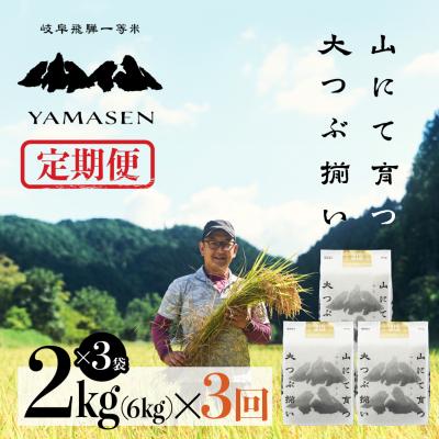 ふるさと納税 下呂市 新米先行受付【令和7年産】【定期便】山仙(いのちの壱)2kg×3袋×3回 すがたらいす【51-Q】