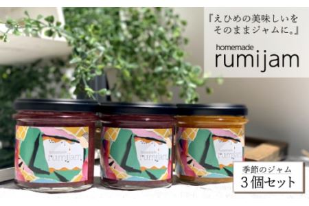 【無添加・手作り】rumijam 季節のジャム３個 ルミジャム