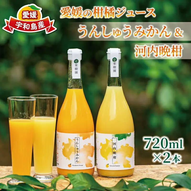 ストレートジュース 愛媛 の 柑橘ジュース 720ml × 2本 セット 壱果樹園 河内晩柑 温州みかん みかんジュース みかん 蜜柑 mikan フルーツ ジュース 果汁 100% 飲料 ギフト 贈
