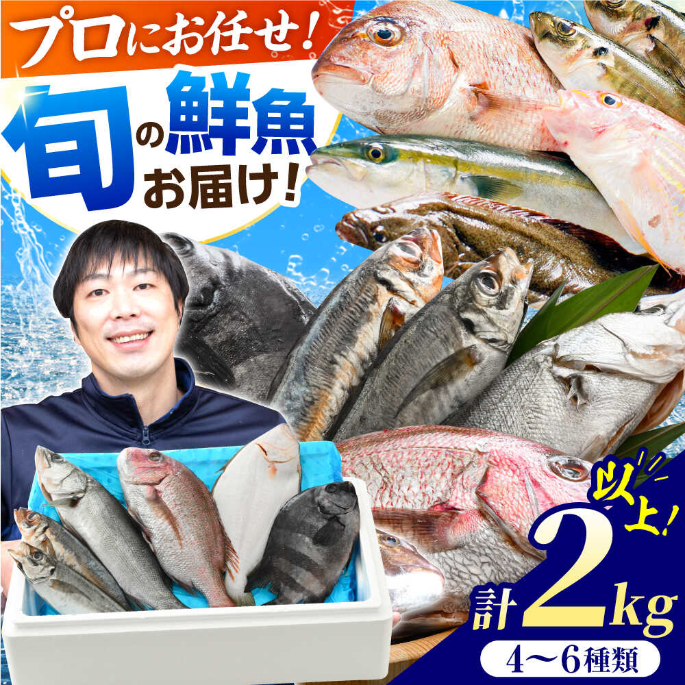 【ふるさと納税】「若狭小浜湾産地直送」旬の天然鮮魚お任せセット！ 計2kg以上 / 刺身 旬 タイ アジ / 小浜市 / 加福鮮魚 【配送不可地域：北海道・沖縄・離島】 [BFBC007]