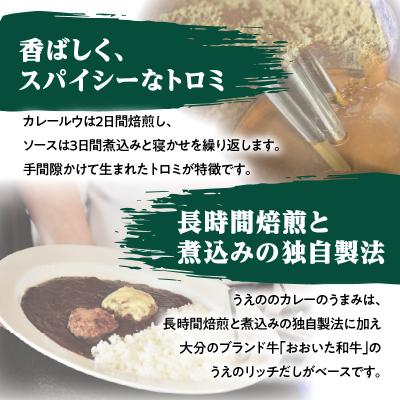 ふるさと納税 大分市 九州クラフト うえの焙煎ビーフカレー レトルト 3袋_K03042 |  | 02