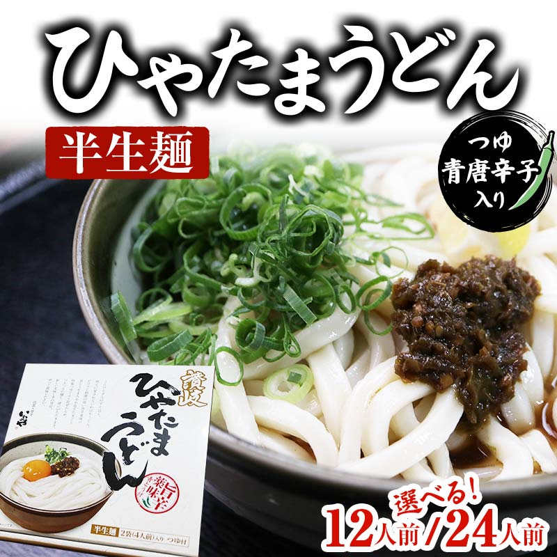 【ふるさと納税】【セット】半生うどん (つゆ・青唐辛子入り) 3箱 6箱 選べる容量 うどん 麺 麺類 加工品 食品 F5J-175var